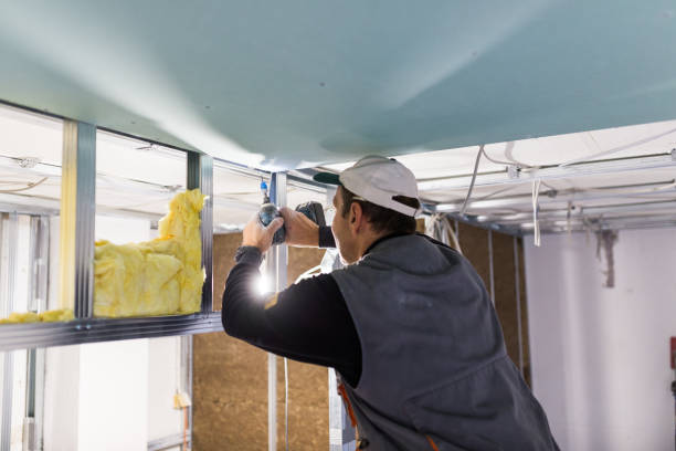 Best Residential Insulation in Maud, TX