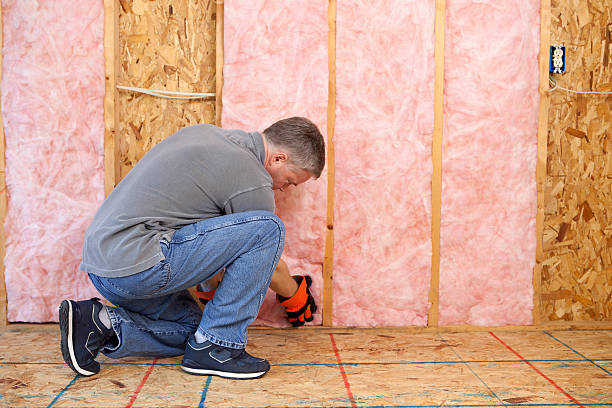 Best Insulation Maintenance and Repair in Maud, TX